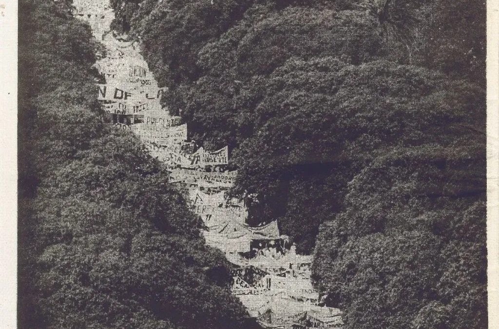 ¿No se puede hacer nada?